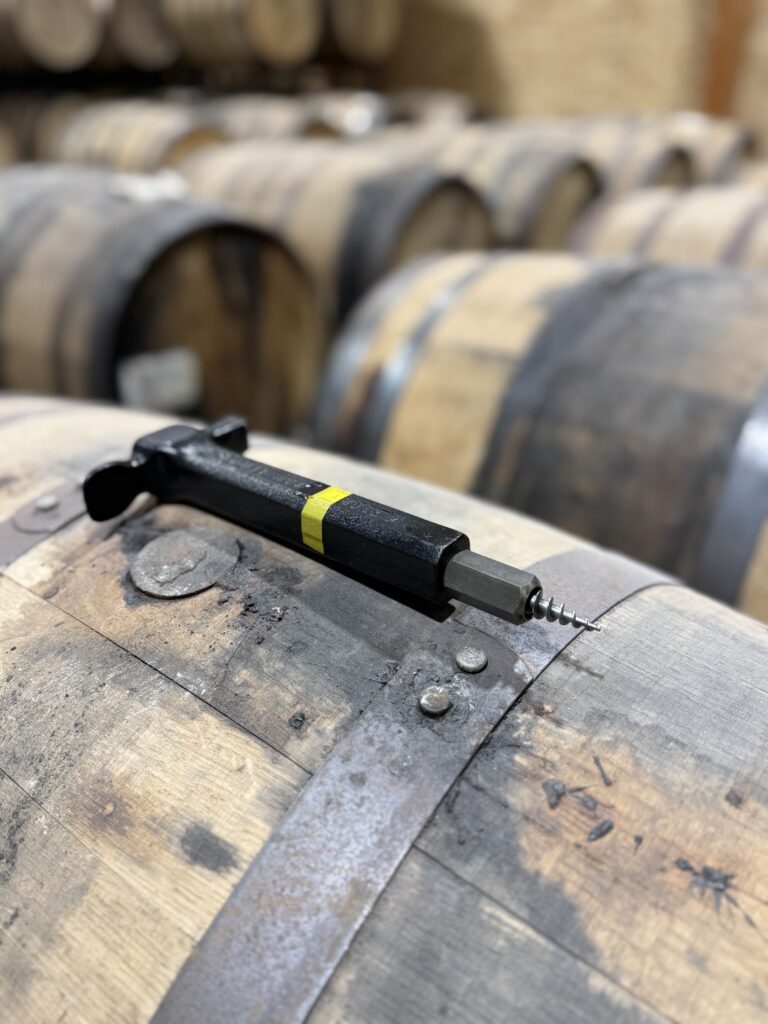 Bung puller on twelve Song Dog rye barrels ready to be opened