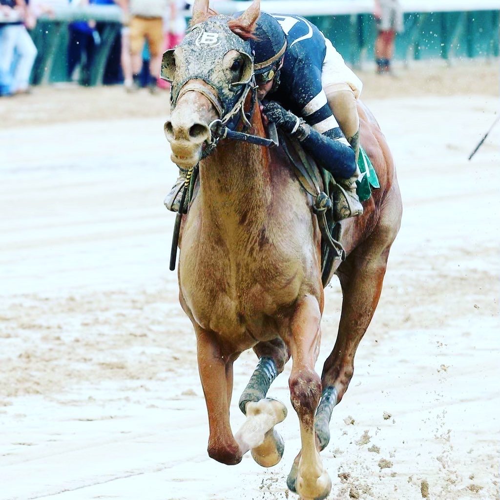 Blackout Racing Stable horse and rider race at Churchill Downs