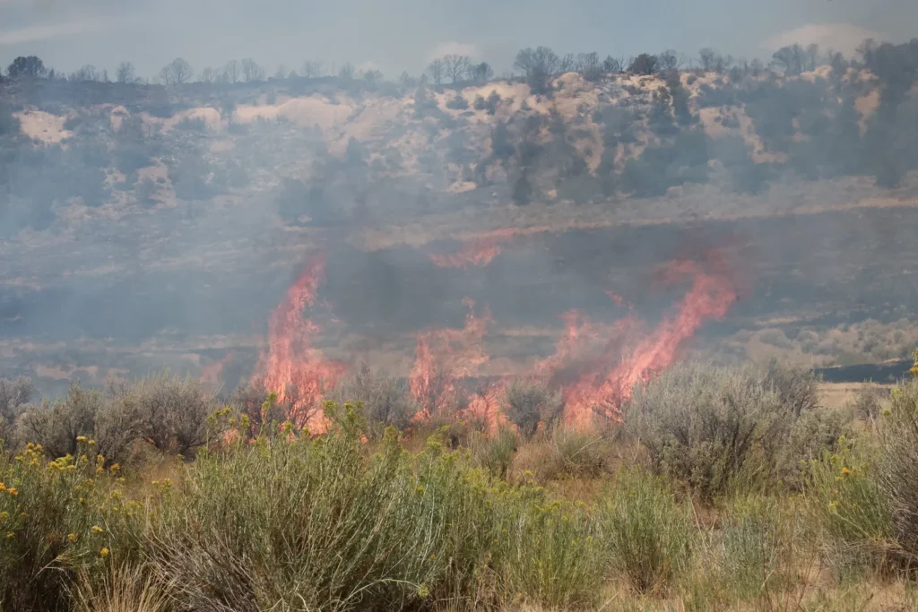 Colorado wildfires