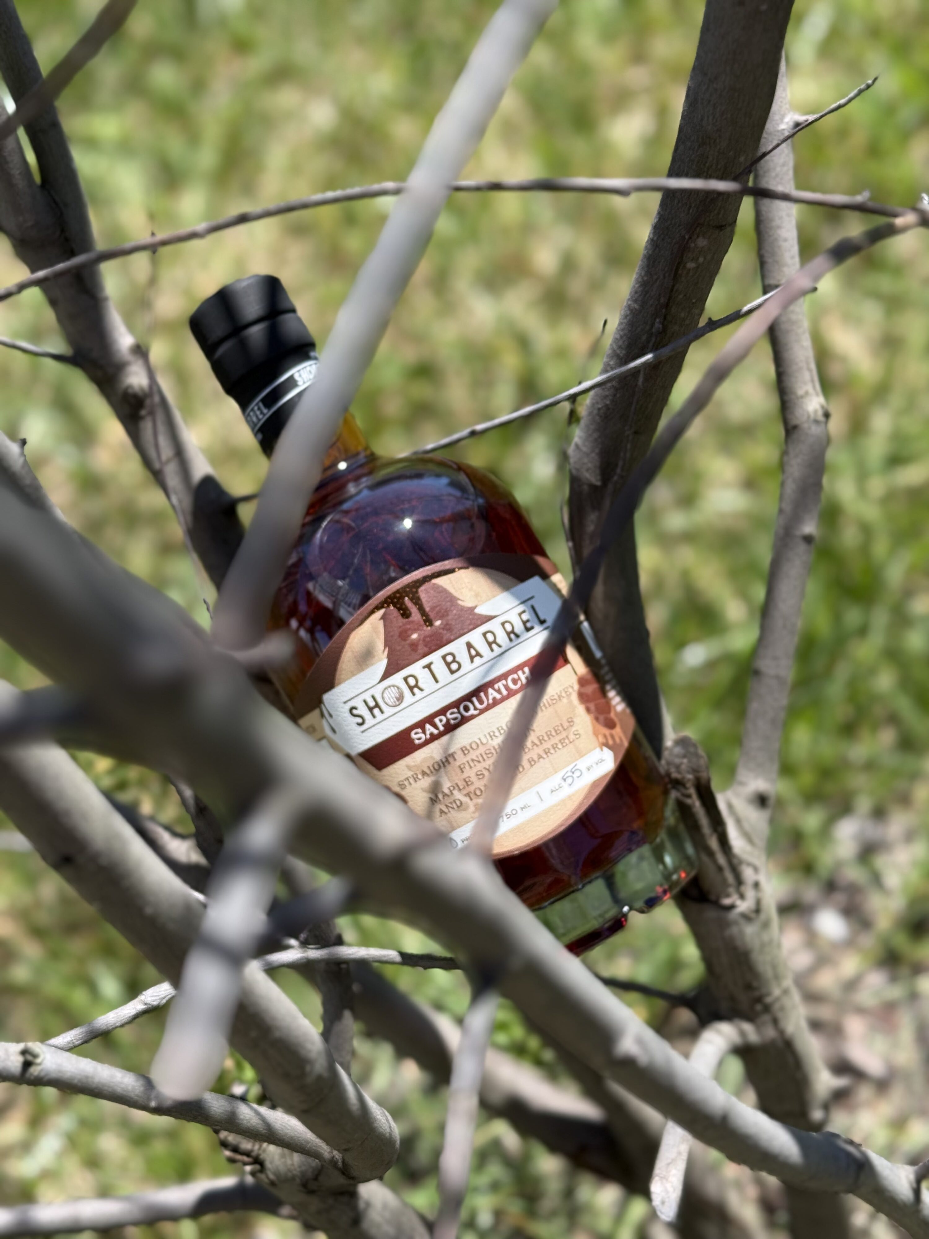 Shortbarrel Sapsquatch Maple-Finished Bourbon 2026 Release through branches