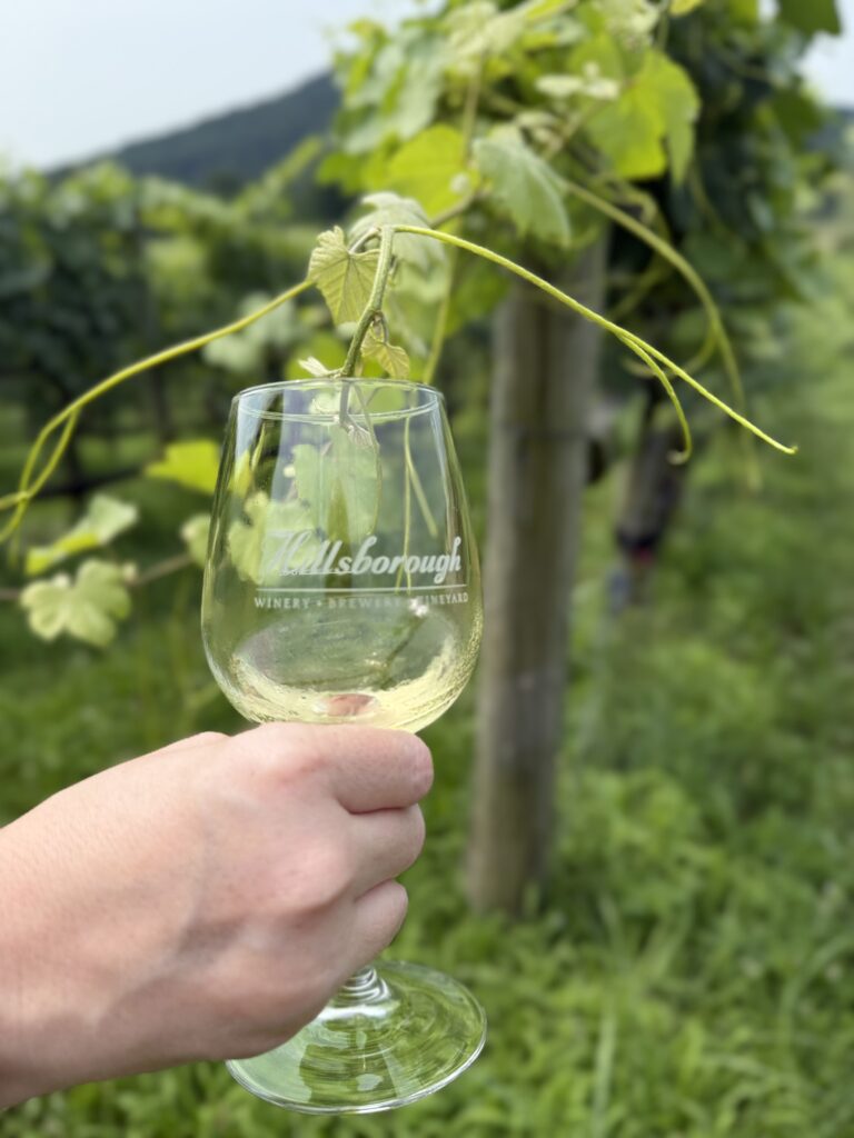 Hillsborough Vineyards is a true vine to glass winery, creating wine only from the grapes they grow in local VA terroir