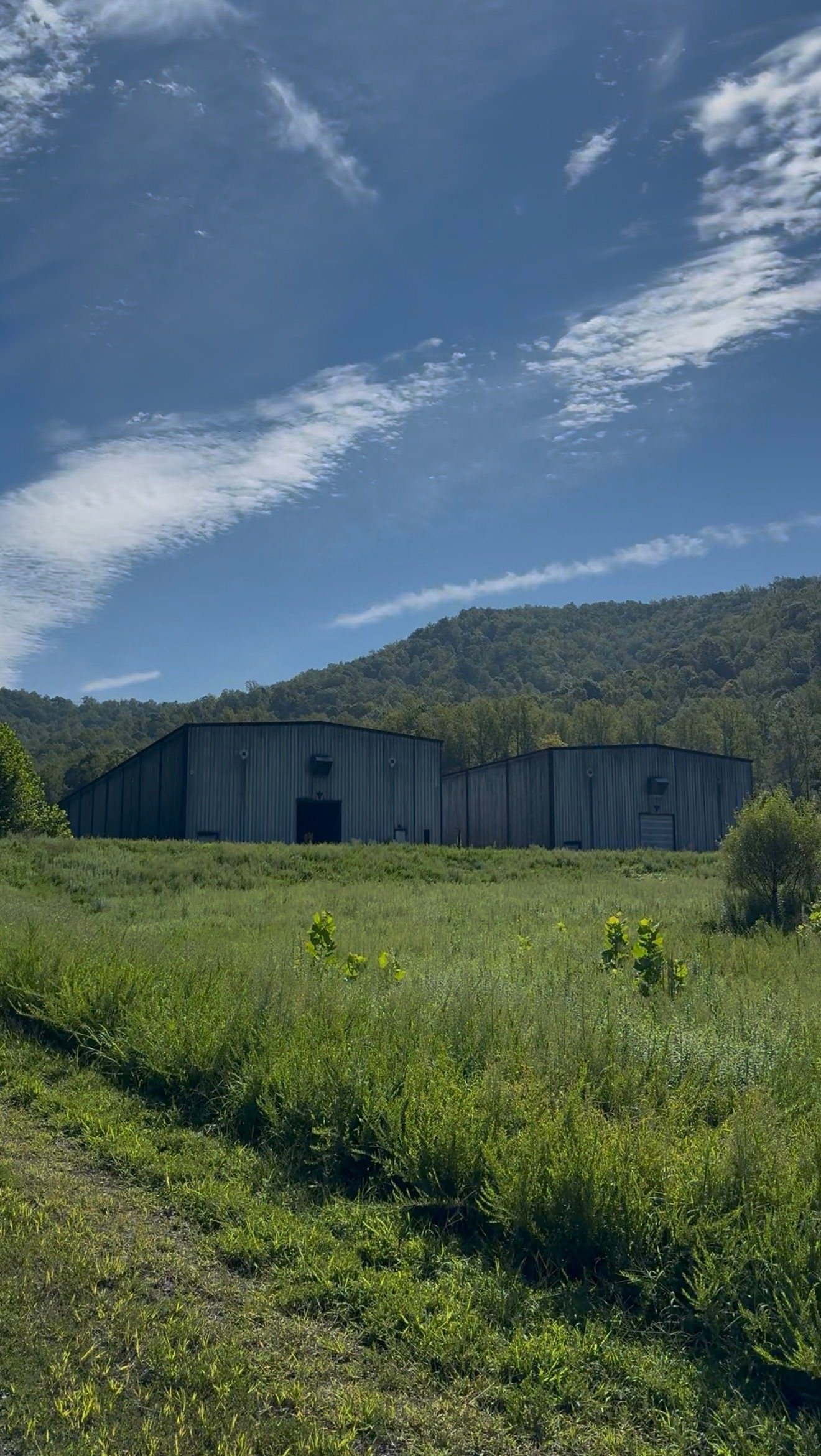 Cask houses #1 and 2 as seen from the gravel trail, nestled at the foot of rolling hills